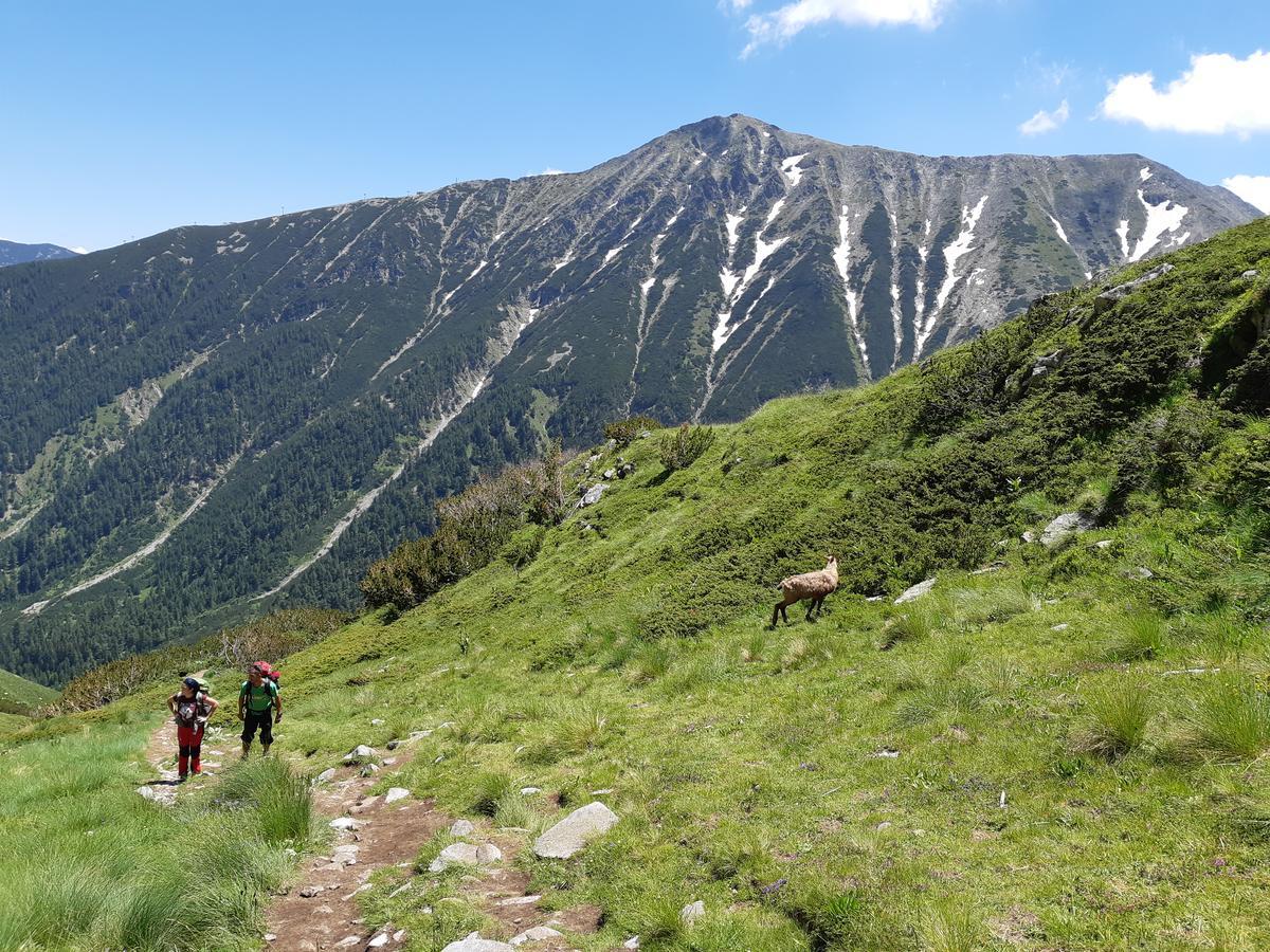 La Pierre Apartments Bansko Eksteriør bilde